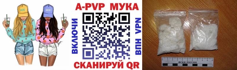 A-PVP СК  Медвежьегорск 