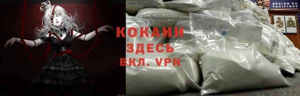 apvp Лиски