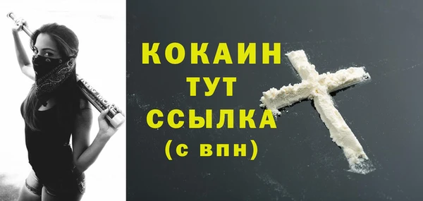 apvp Лиски