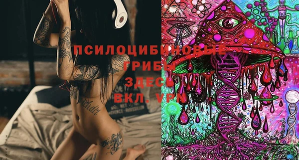 apvp Лиски