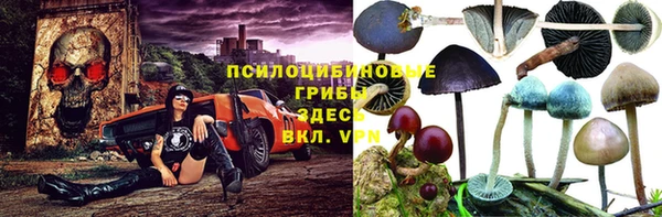 мет Липки