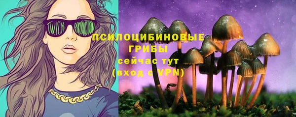 мет Липки