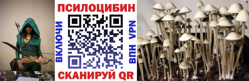 Галлюциногенные грибы Psilocybe Медвежьегорск